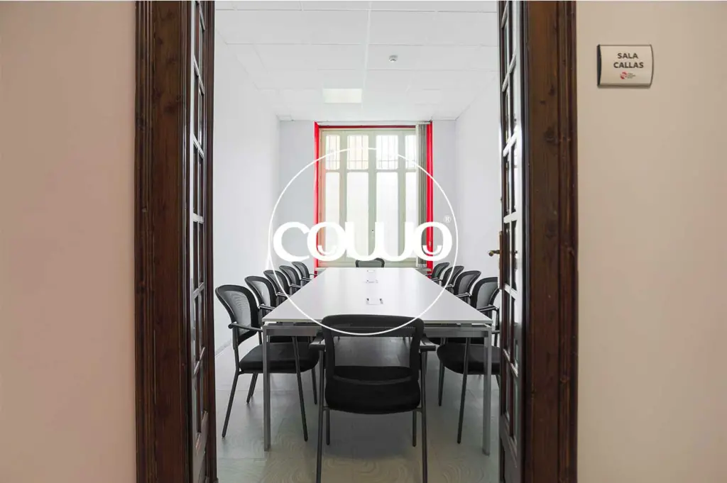 torino-coworking-center-sala-callas-AQ8A0877